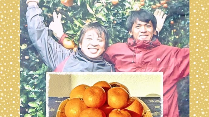 愛媛県松山市に居住する知人から「無茶々園」の低農薬栽培温州みかんが届きました