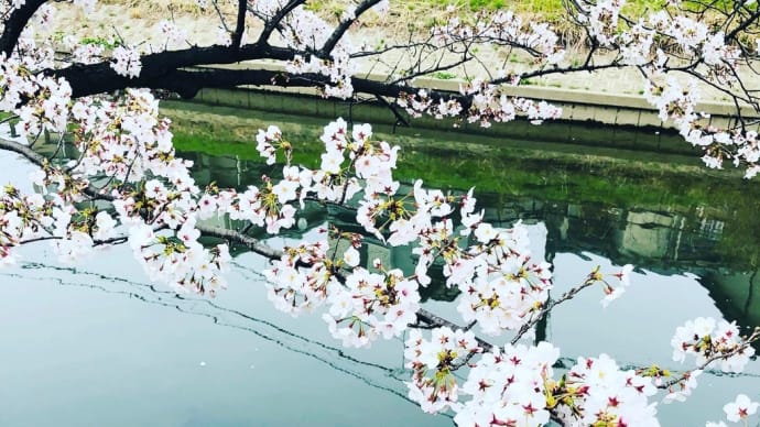 春の小川
