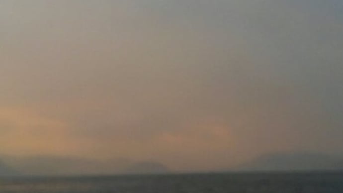 タチウオ