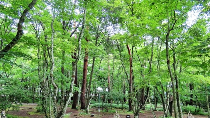 2024夏の終わりの 中軽井沢