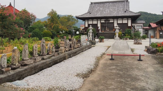 多宝寺の「桔梗」