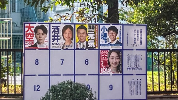 第50回衆議院議員選挙 投票前に確認しとくこと