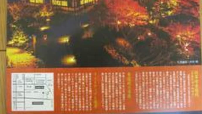 京都　将軍塚青龍殿ライトアップ