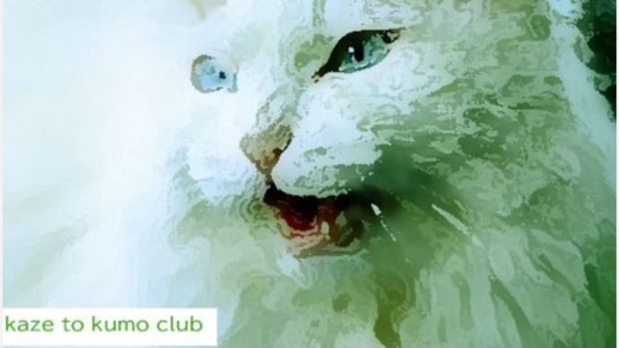 kaze to kumo clubオリジナル作品集- 2025-6/1