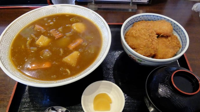 三条 カレーラーメン 大衆食堂 正広