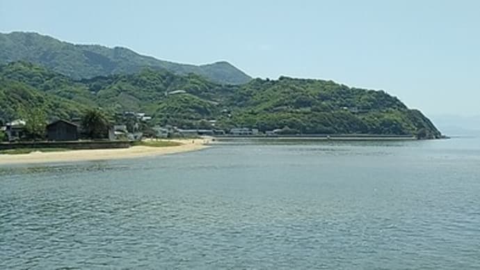 スギナを採って薬草を・・・