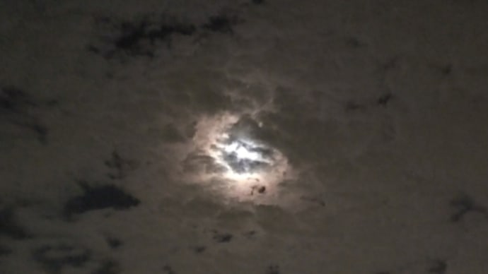 今夜の月🌕