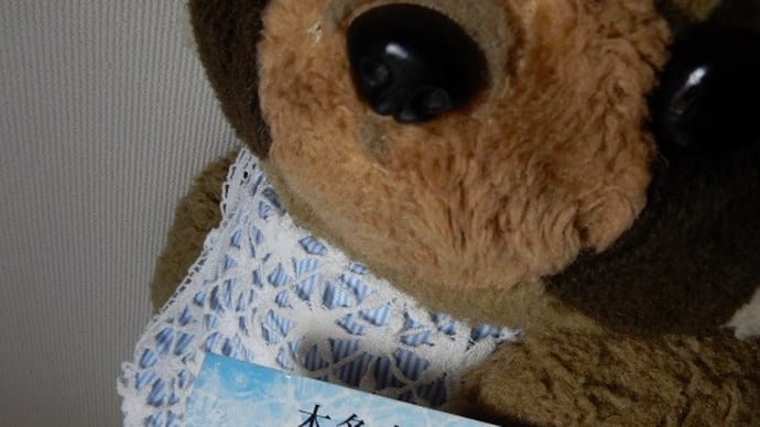蝉の鳴く小説・13(本多孝好『蟬の証』感想)