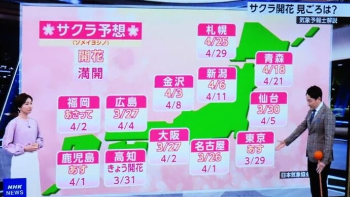 桜開花一番に熊本・高知 &三日坊主にならないよう &大の里おめでとう &選抜高校野球結果