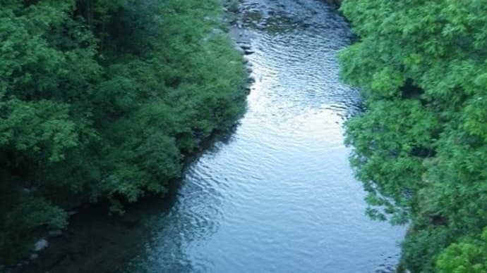 ６月１３日　渇水の亀尾島川で鮎釣り！