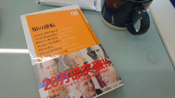 【雑記】日曜の朝