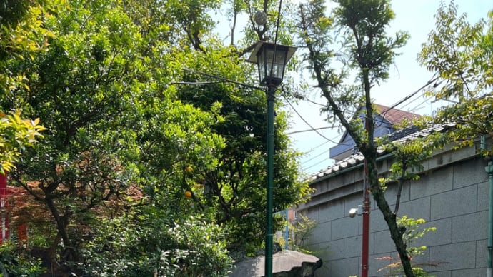 汝の立つところ深く掘れ そこに必ず泉あり