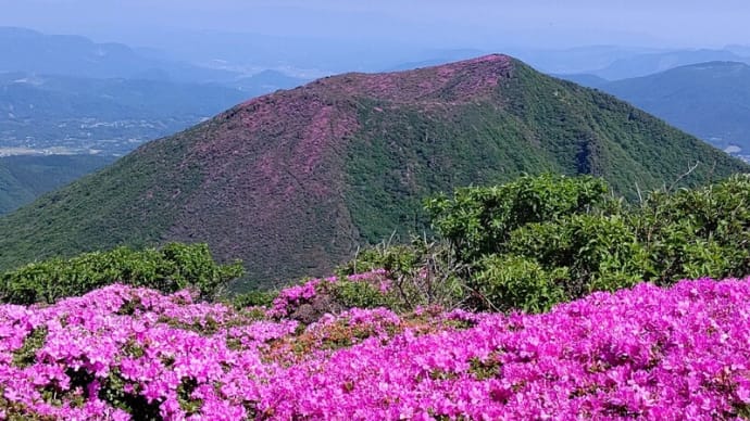 ４日.平治岳のミヤマキリシマを見に北大船山へ
