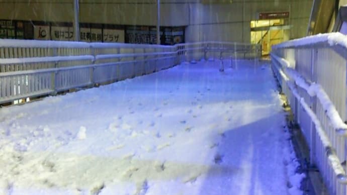 どないする?雪が積もってます