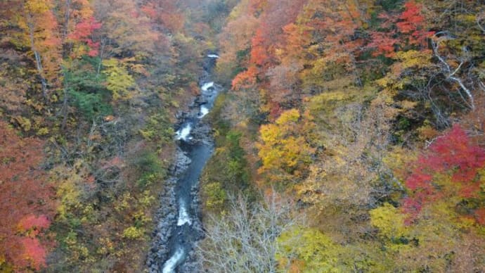 “ジジババツアー御一行様”はきょうもゆく(雨と紅葉の中津川・・・)