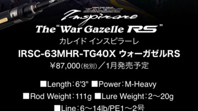 エバーグリーン新商品。
