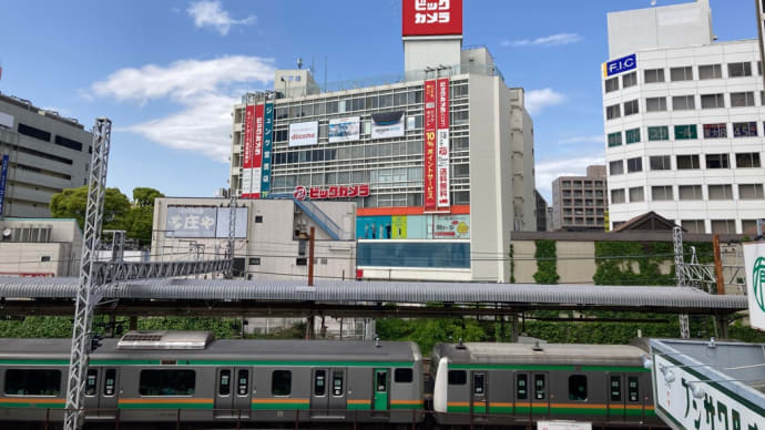 外出・藤沢→市議会員投票日