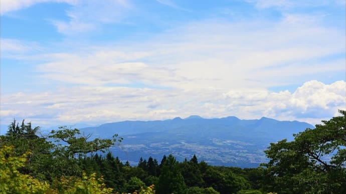 「渋川市総合公園」の あじさい