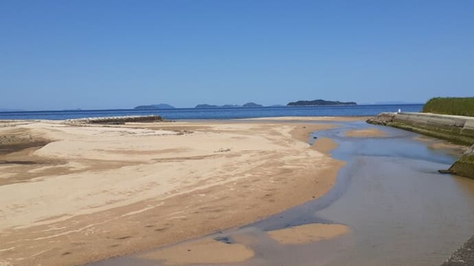 屯田川河口から