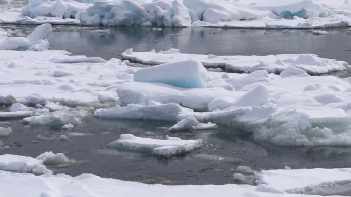 残暑お見舞い申し上げます/オホーツクの冷たい流氷とクリオネ2-3