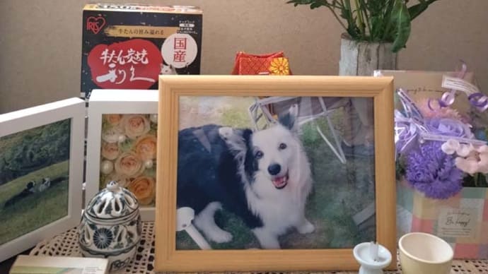 1年経ちました