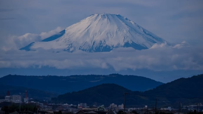 07/Nov 雲間の富士山とタゲリとイソシギとカワセミ