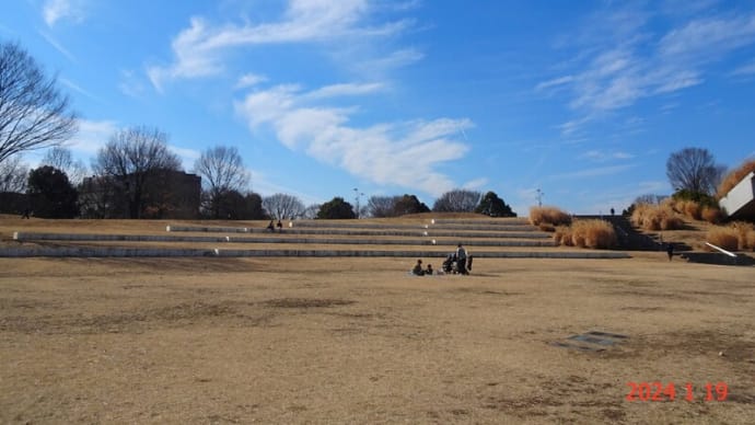 冬枯れの昭和記念公園(24.1.19)