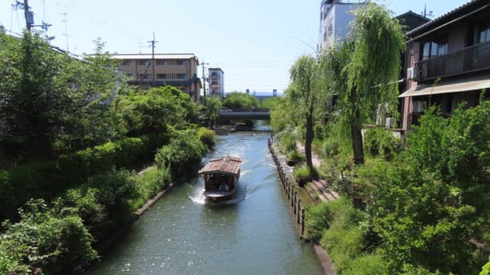 京都伏見の十石舟と抹茶かき氷