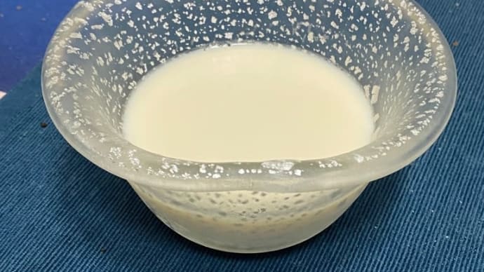 ミルクゼリーに、塩を入れたら、美味しくなった‼️