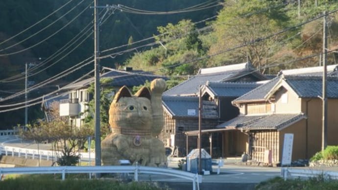 招き猫たまちゃん、「みんな来て!見て!」