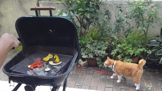 猫とバーベキュー