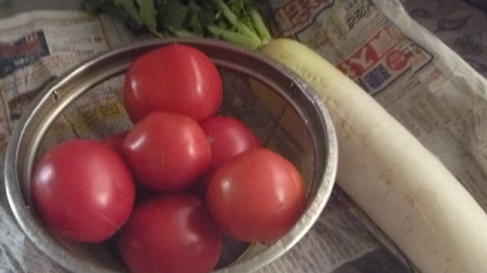 お財布ふとん