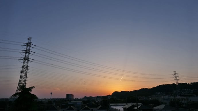 5月5日、朝散歩～富士山とダイサギ～♬