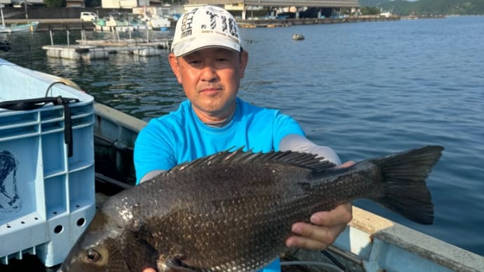 9月8日　イカダ釣り釣果