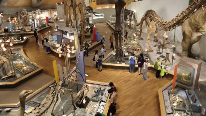 恐竜好きには堪らない。群馬県立自然史博物館は常設展も見どころ満載でした。
