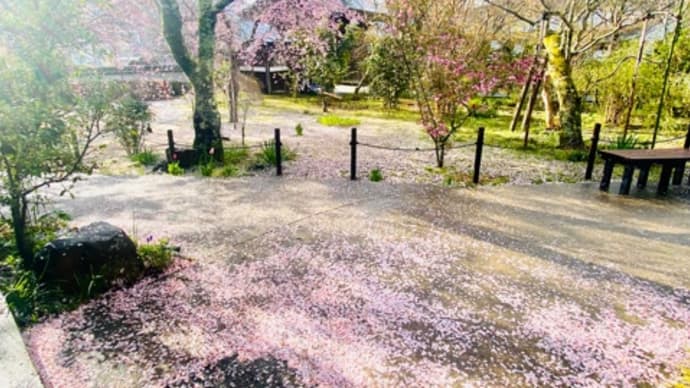 花過ぎ