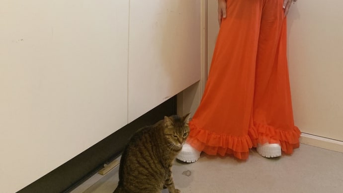 今日のわたし_240615
