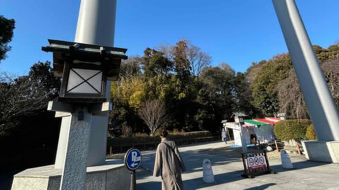 千葉県野田市 櫻木神社で初詣で