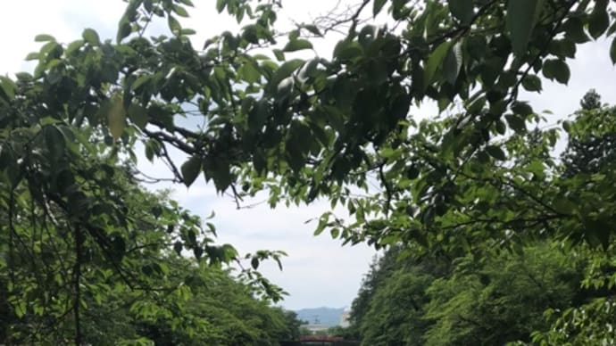 ８月1日、静かな朝