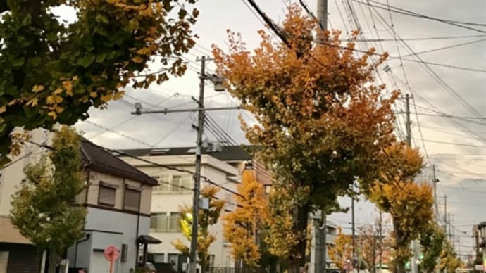 急遽 ストールの染め直し。