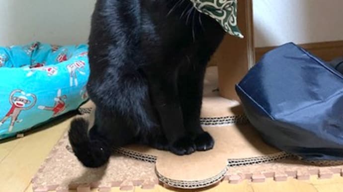 そういえば 冬
