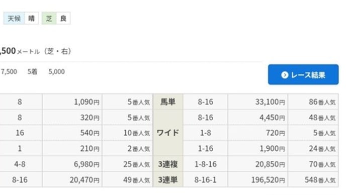 有馬記念、言い訳していいですか(笑)?