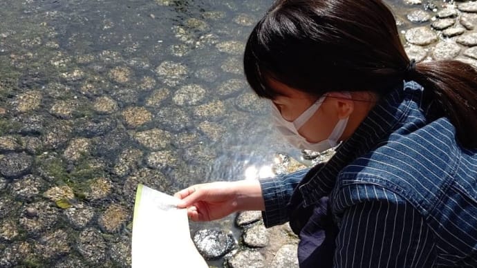 仕方無い
