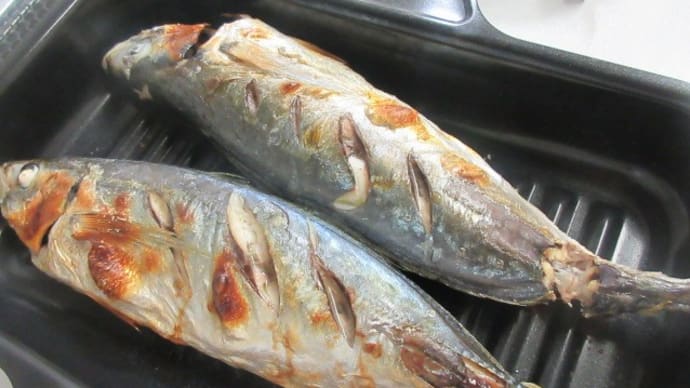 こんなだからblogネタもない 昨日の食事