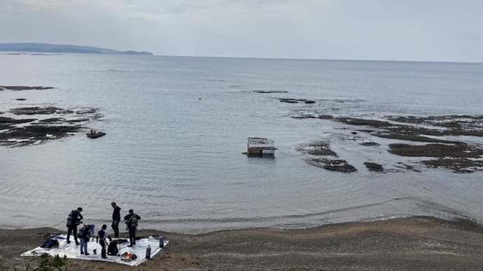 たぬき休むでぇ~(day)の海は