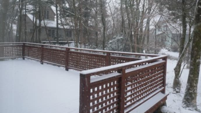 今季最後?の雪を堪能~。
