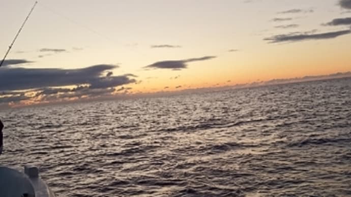 いちいち釣れる!