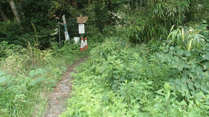 角田山（浦浜コース）2024梅雨