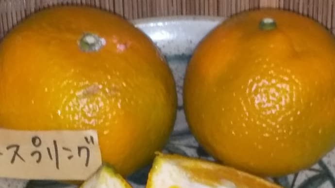 初めていただきました!