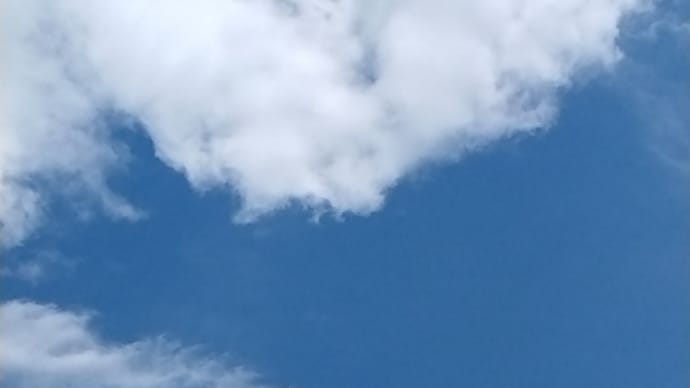 晴れの日曜日